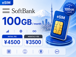 SoftBank 100GB / month