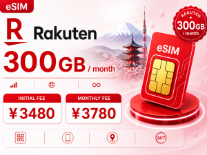 Rakuten 300GB / month