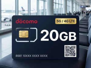 DOCOMO 20GB/month