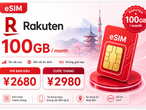 Rakuten 100GB / month