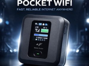 POCKET 4G FUJI 100GB