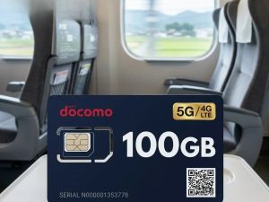 DOCOMO 100GB/month