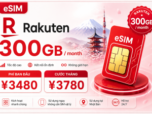 Rakuten 300GB / month