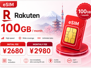 Rakuten 100GB / month