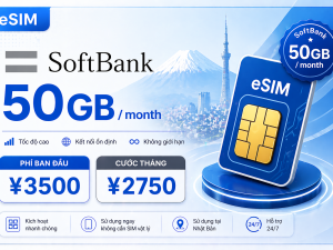 SoftBank 50GB / month