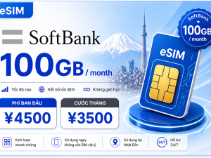 SoftBank 100GB / month